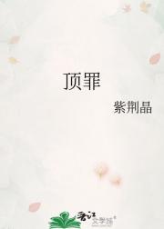顶罪