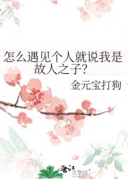 京城十三侠