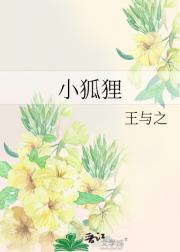 小狐狸