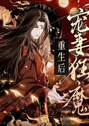 宠妻狂魔重生后