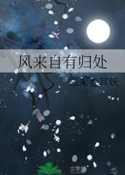 风来自有归处