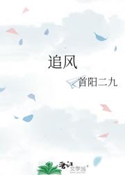 追风