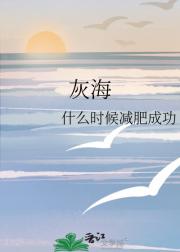灰海