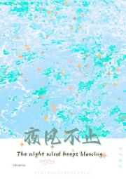 夜风不止
