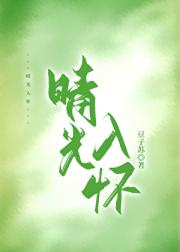 晴光入怀