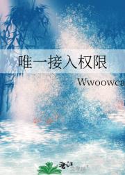 唯一接入权限