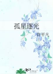 孤星逐光