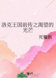 洛克王国前传之渴望的光芒
