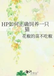 HP如何正确饲养一只猫