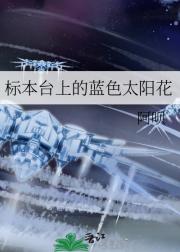 标本台上的蓝色太阳花