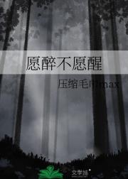 愿醉不愿醒