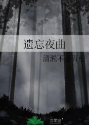 遗忘夜曲