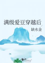 满级爱豆穿越后