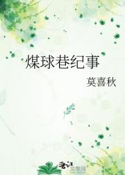 煤球巷纪事