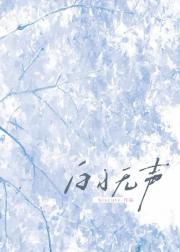 白日无声