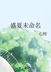 盛夏未命名