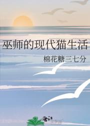 巫师的现代猫生活