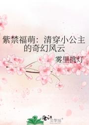紫禁福萌：清穿小公主的奇幻风云