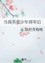 当我不爱少年将军后