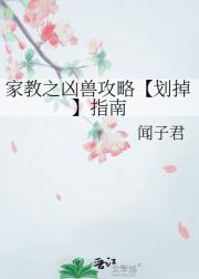 家教之凶兽攻略【划掉】指南