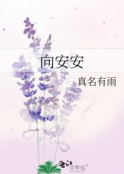 向安安