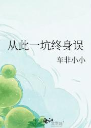 从此一坑终身误