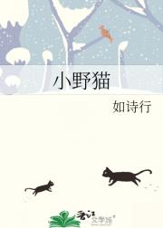 小野猫
