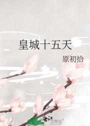 皇城十五天