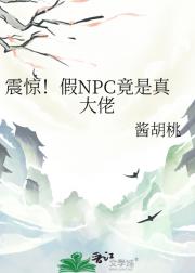假NPC竟是真大佬