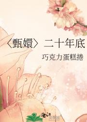 〈甄嬛〉二十年底