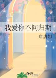 我爱你不问归期