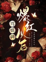 骂媒调爆红以后