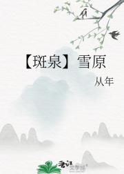 【斑泉】雪原