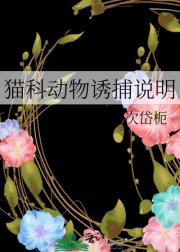猫科动物诱捕说明