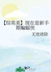 【综英美】现在是新手期蝙蝠侠