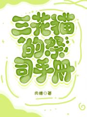 三花猫的祭司手册【种田】