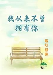 我从来不曾拥有你