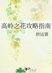 高岭之花攻略指南