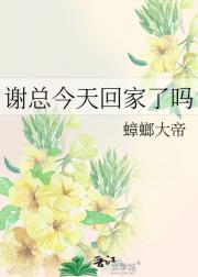 谢总今天回家了吗