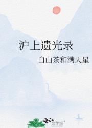 沪上遗光录