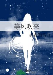 等风吹来