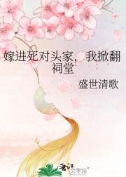 嫁进死对头家，我掀翻祠堂