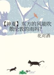 【神夏】东方的风能吹散伦敦的雨吗？