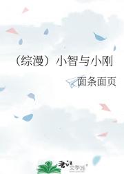 （综漫）小智与小刚