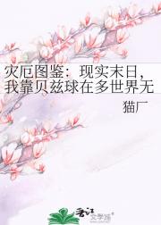 灾厄图鉴：现实末日，我靠贝兹球在多世界无