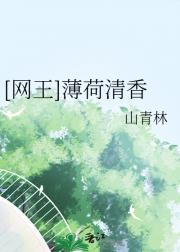 网王之越前龙吟