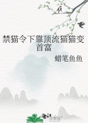 禁猫令下靠顶流猫猫变首富