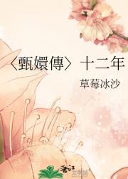 〈甄嬛傳〉十二年