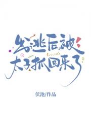 出逃后被太子抓回来了