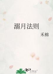 溺月法则